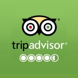 trip advisor reviews for durango restaurant steamworks